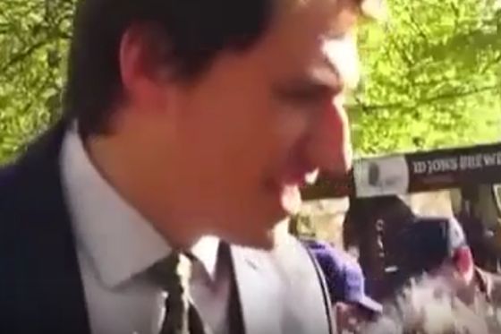 Насколько сильно вы любите пиво?