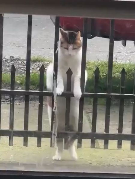 Жидкие пружины