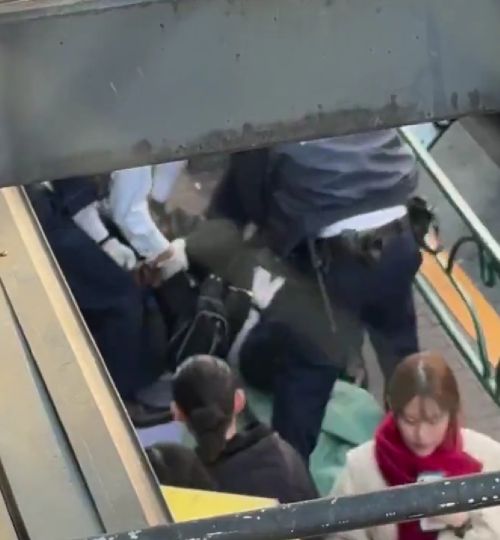 Японские городовые