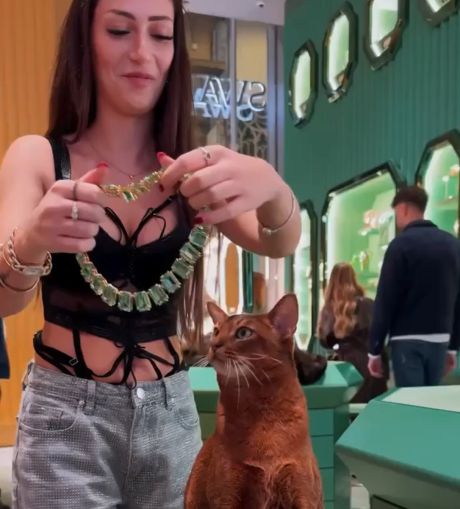 Матерь котья, ну что за красота⁠⁠