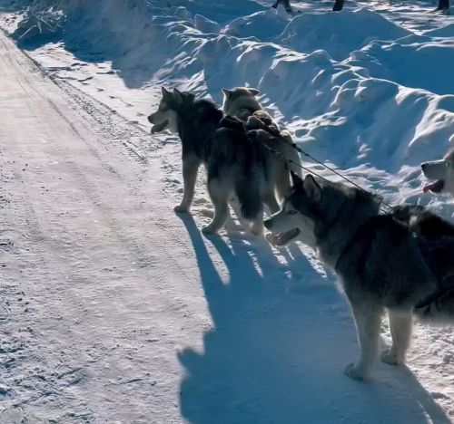 С начала умные, в конце - сильные. Ну а в середине?⁠⁠