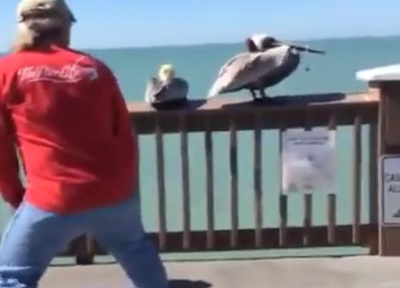 Спасение⁠⁠