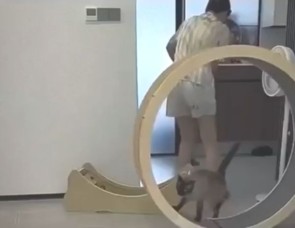 До встречи, двуногая)⁠⁠