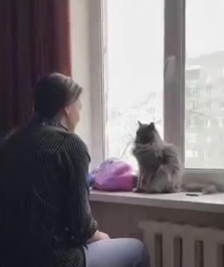 Проиграла⁠⁠