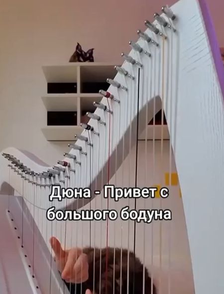 Дюна - Привет большого бодуна...⁠⁠