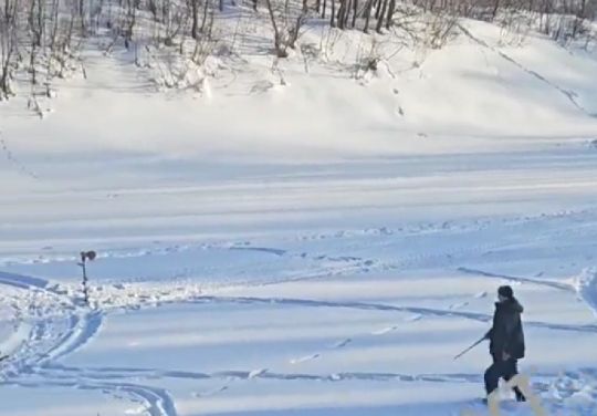 Бешеная лиса напала на рыбака