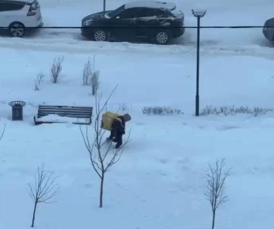 Целая история в 10 секундах видео. Курьер Яндекс Еды из Липецка, держись!