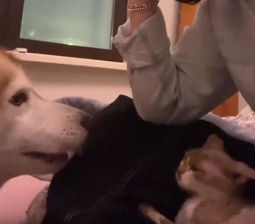 Давай сожрём его⁠⁠