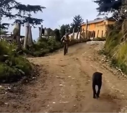 Формальности соблюдены