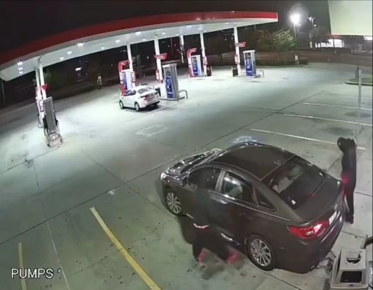 Дайте им награду за тупость!