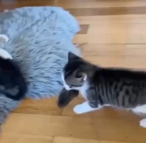 Когда ты опережаешь программу обучения⁠⁠