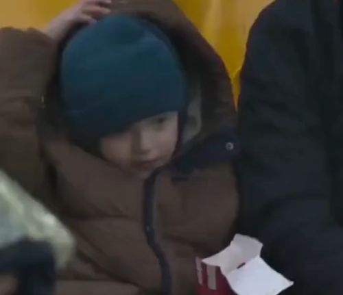 Самый милый скандал в АПЛ: «Вулверхэмптон» восстановил справедливость в деле об украденном наггетсе