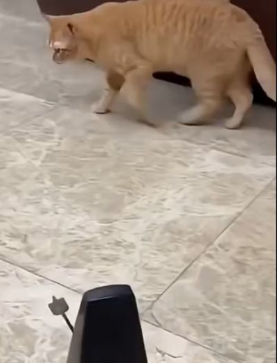 Страшно, но интересно