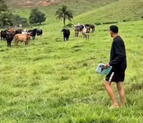 Кто не отозвался...