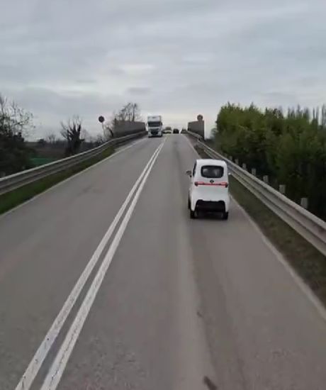 Language 0%, understanding 100%