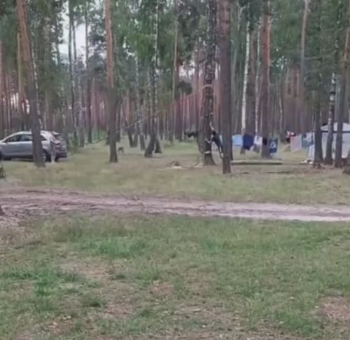 Серёга опытный мужик