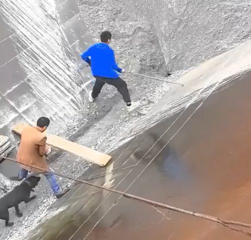 Здесь прекрасно все