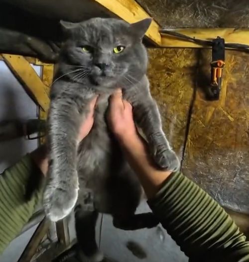 Вечерняя перекличка