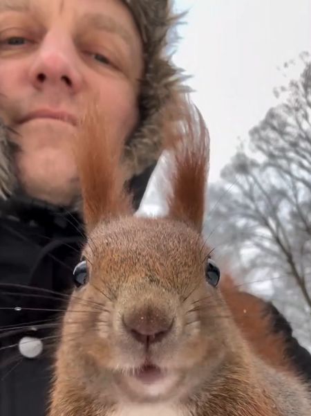 Доброе утро, к Вам белочка