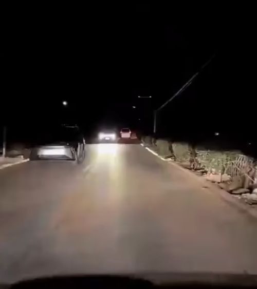 Мечта многих