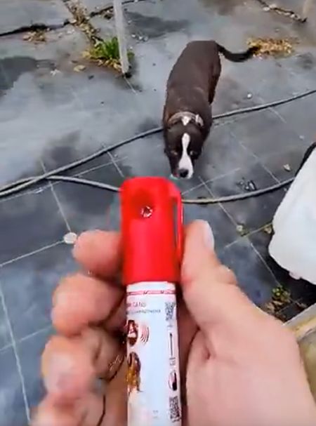 О, чё это? Дай тоже подудю