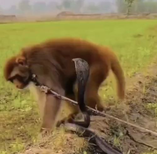 Когда вы уже 10 лет в браке и ты привык ко всему