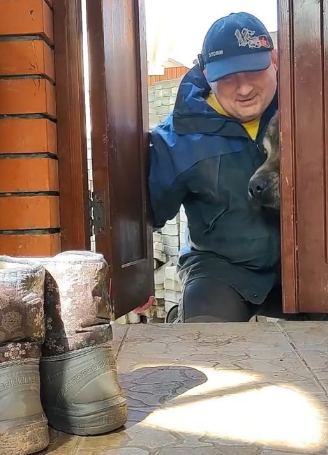 Собака-сапоги воровака