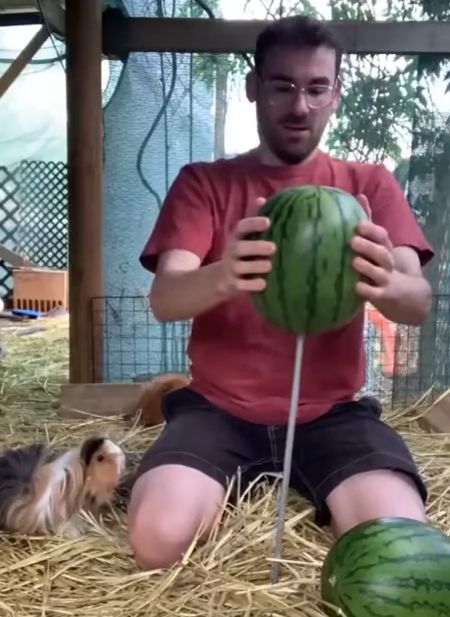 Словно пушистые пираньи