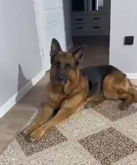 Мамин помощник