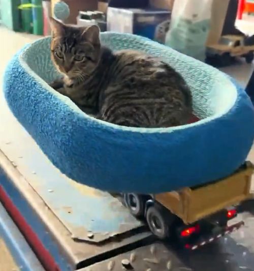 Когда в мастерской заказов нет