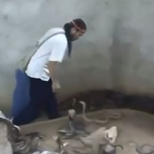 Пришел в бухгалтерию выбивать зарплату