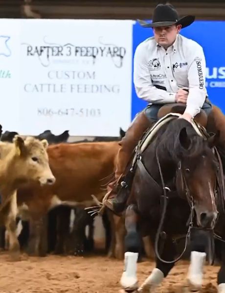 Эту лошадь по ходу бордер колли воспитали...