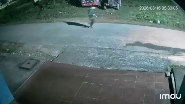 В Непале на парня во время утренней пробежки напал носорог