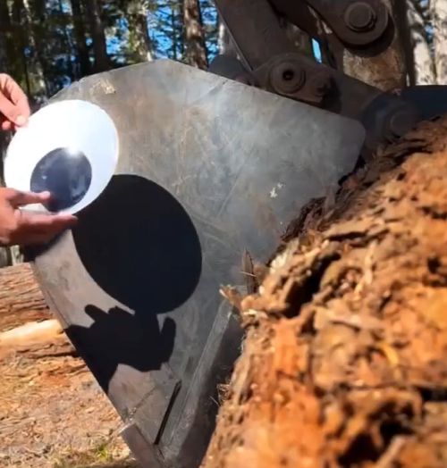 Парк экскаваторного периода⁠⁠