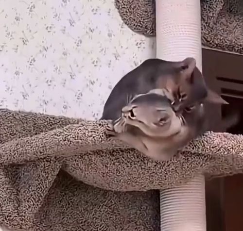 Типичный злодей