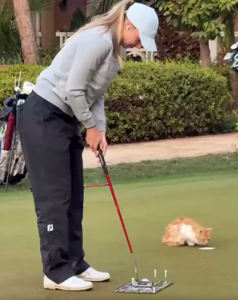 Пока не заметили⁠⁠