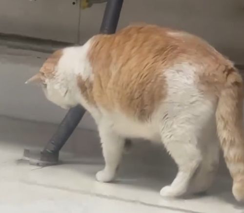 Когда не соврал в резюме⁠⁠