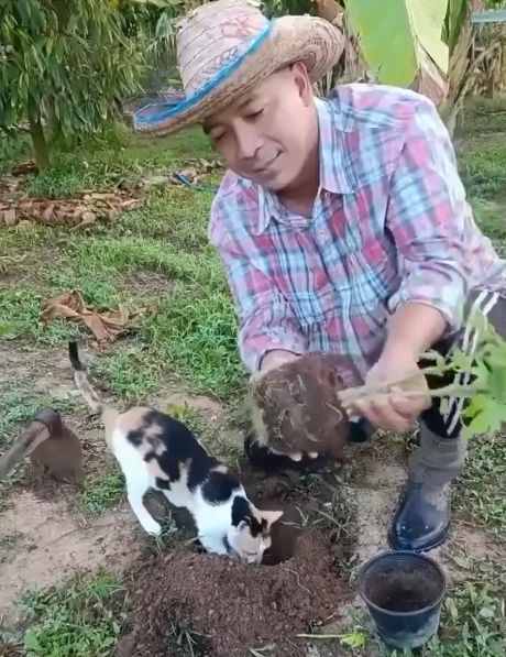 Агроном в огороде