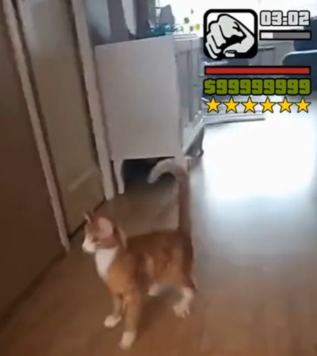 Перекраска⁠⁠