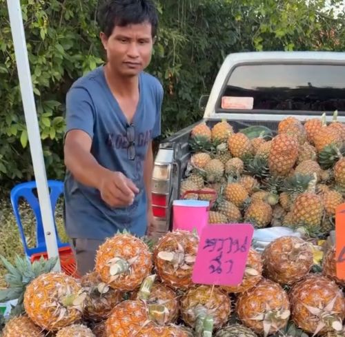 Залипательная чистка ананаса⁠⁠