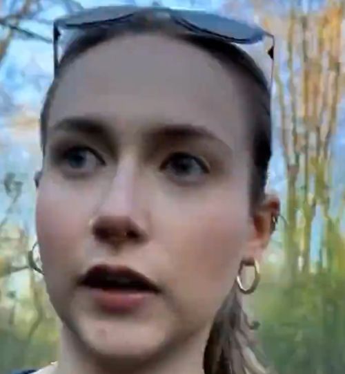 Лес, полька и кабан...