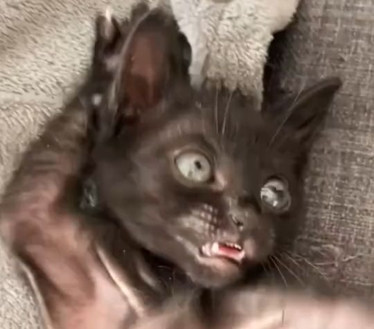 Чертовски красив)⁠⁠