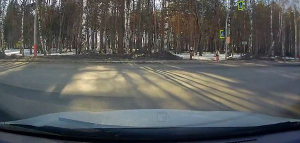 Две внимательные девочки на переходе