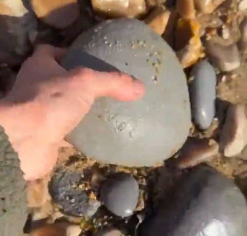 Чувак нашел булыжник