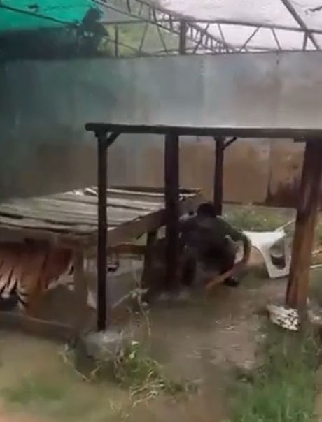 Доверие⁠⁠