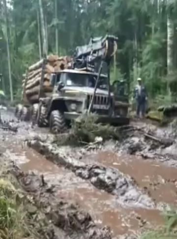 Лесовоз на просеке