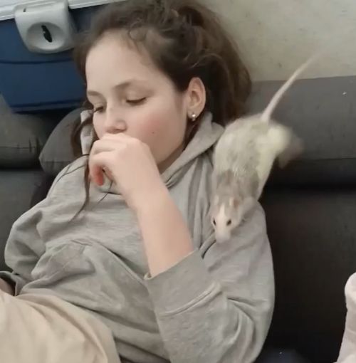 Забирай у неё всё - ночью сожрём⁠⁠