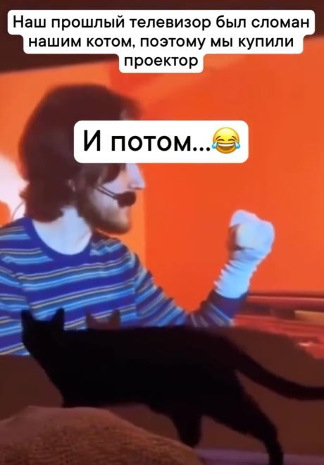 Облом шерстяному)⁠⁠