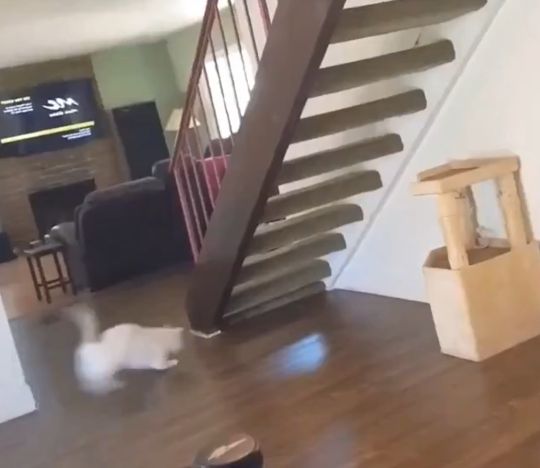 Кто-то не ищет легких путей...⁠⁠