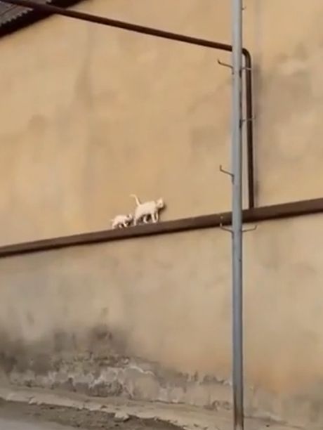 Не упади только⁠⁠